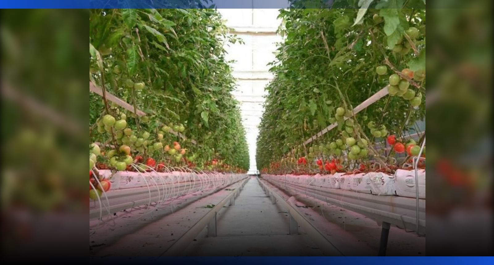 Image for В Шымкенте в 2025 году реализовали 18 инвестпроектов